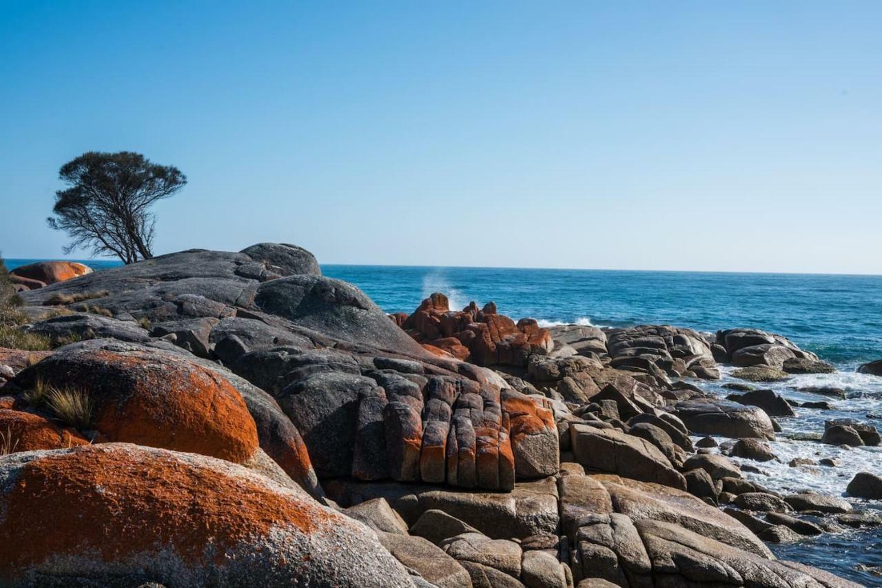 Villa Jasper Bay Of Fires Binalong Bay Exterior photo